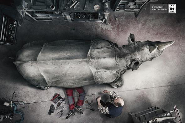 WWFS Brilliant New Extinction Campaign