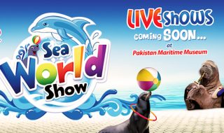 Sea-world-show-lead