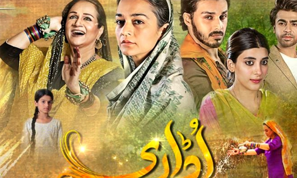 Udaari