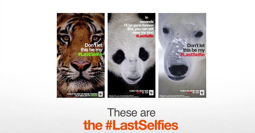 WWF Launches Selfie Campaign to Save Animals - Brandsynario