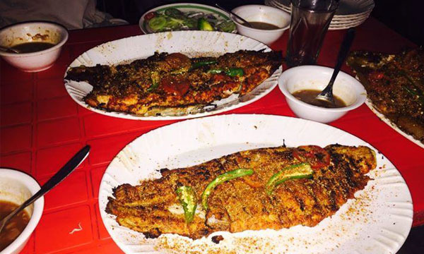 palla fish in pakistan