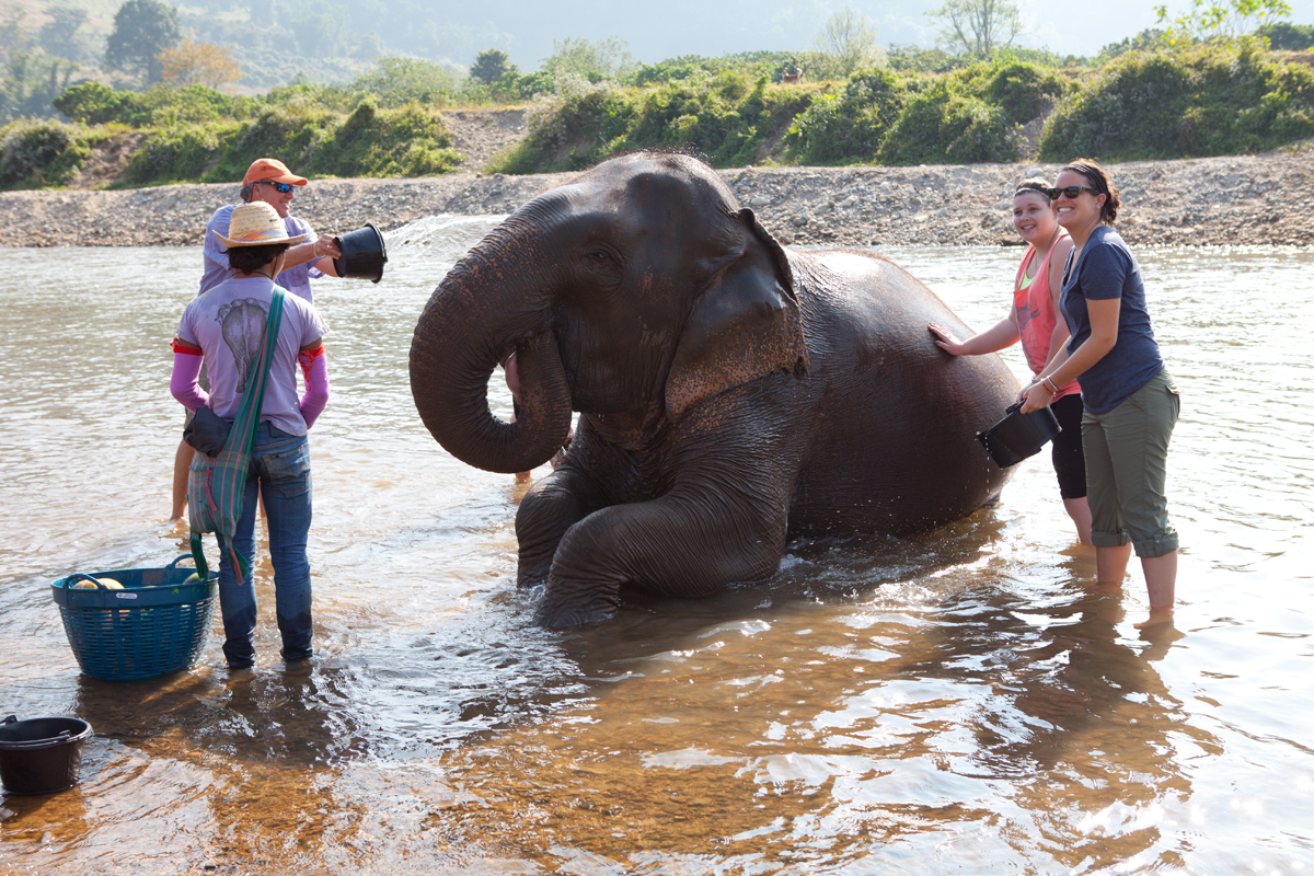 Elephant Nature Park Chiang Mai