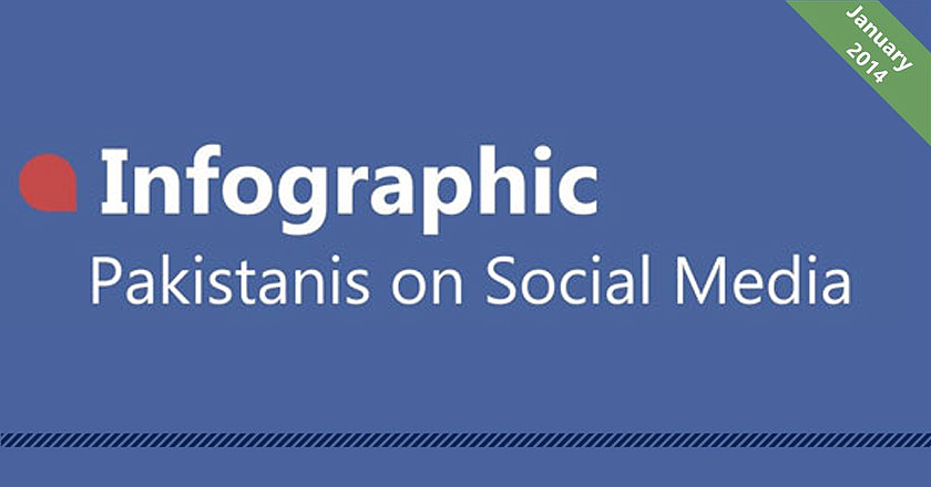 Pakistanis on Social Media: A Snapshot