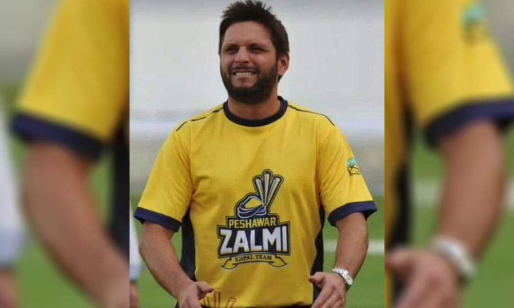 zalmi-15